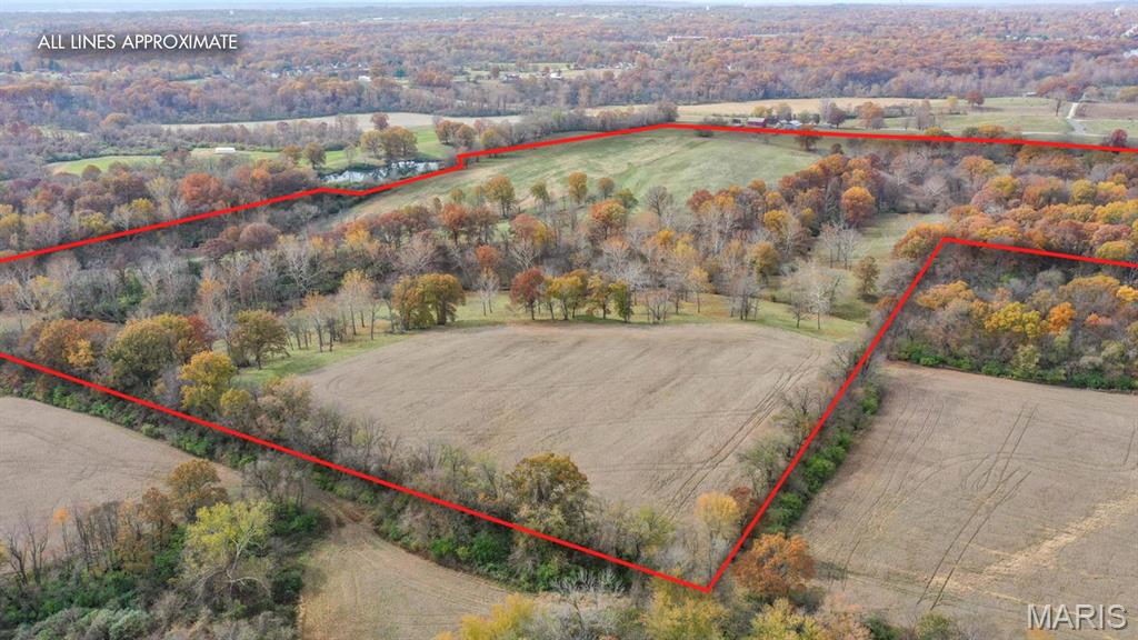 4245 Seminary Road Property Photo 16
