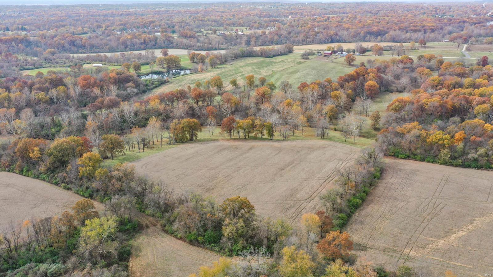 4245 Seminary Road Property Photo 17