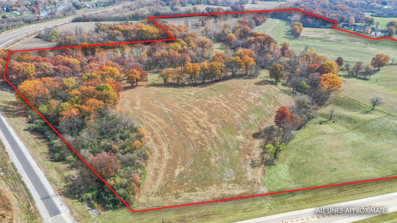 4245 Seminary Road Property Photo 27