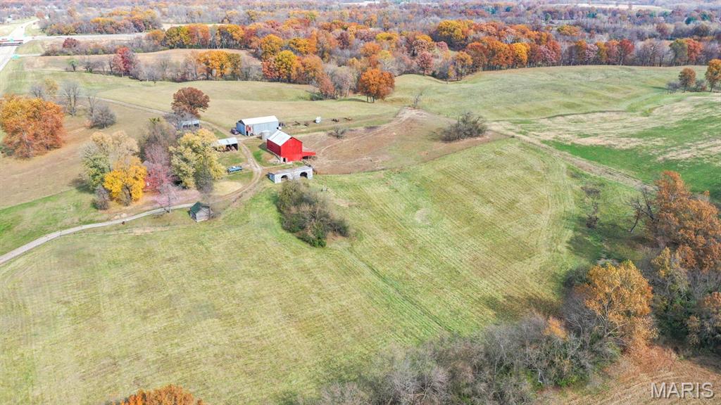 4245 Seminary Road Property Photo 36