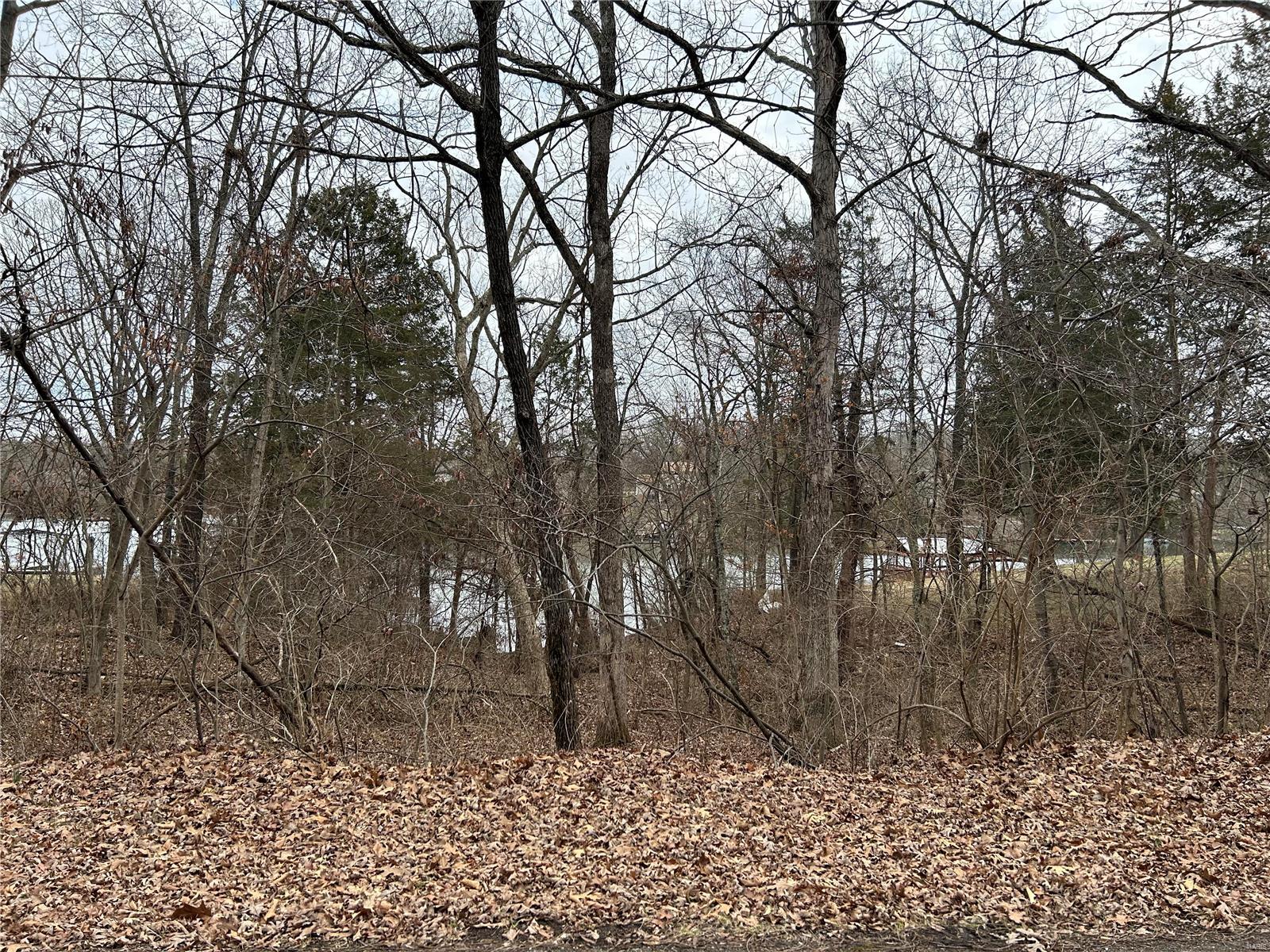 0 Section 5 Lots 10 & 11 Property Photo 1