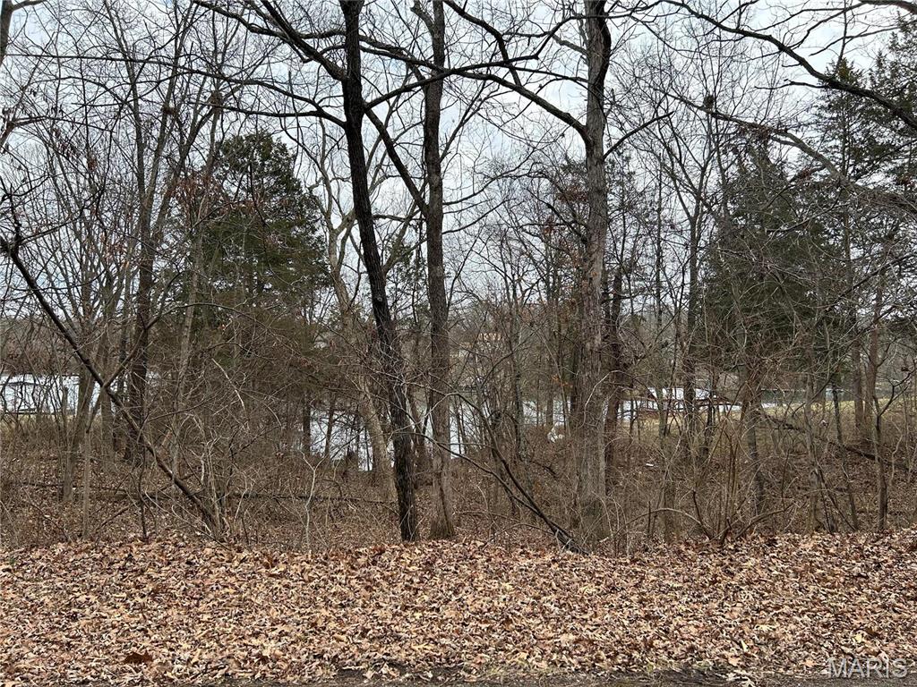 0 Section 5 Lots 10 & 11 Property Photo 1