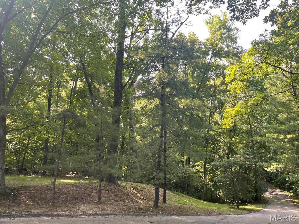 17421 Private Valley Lane Property Photo 7