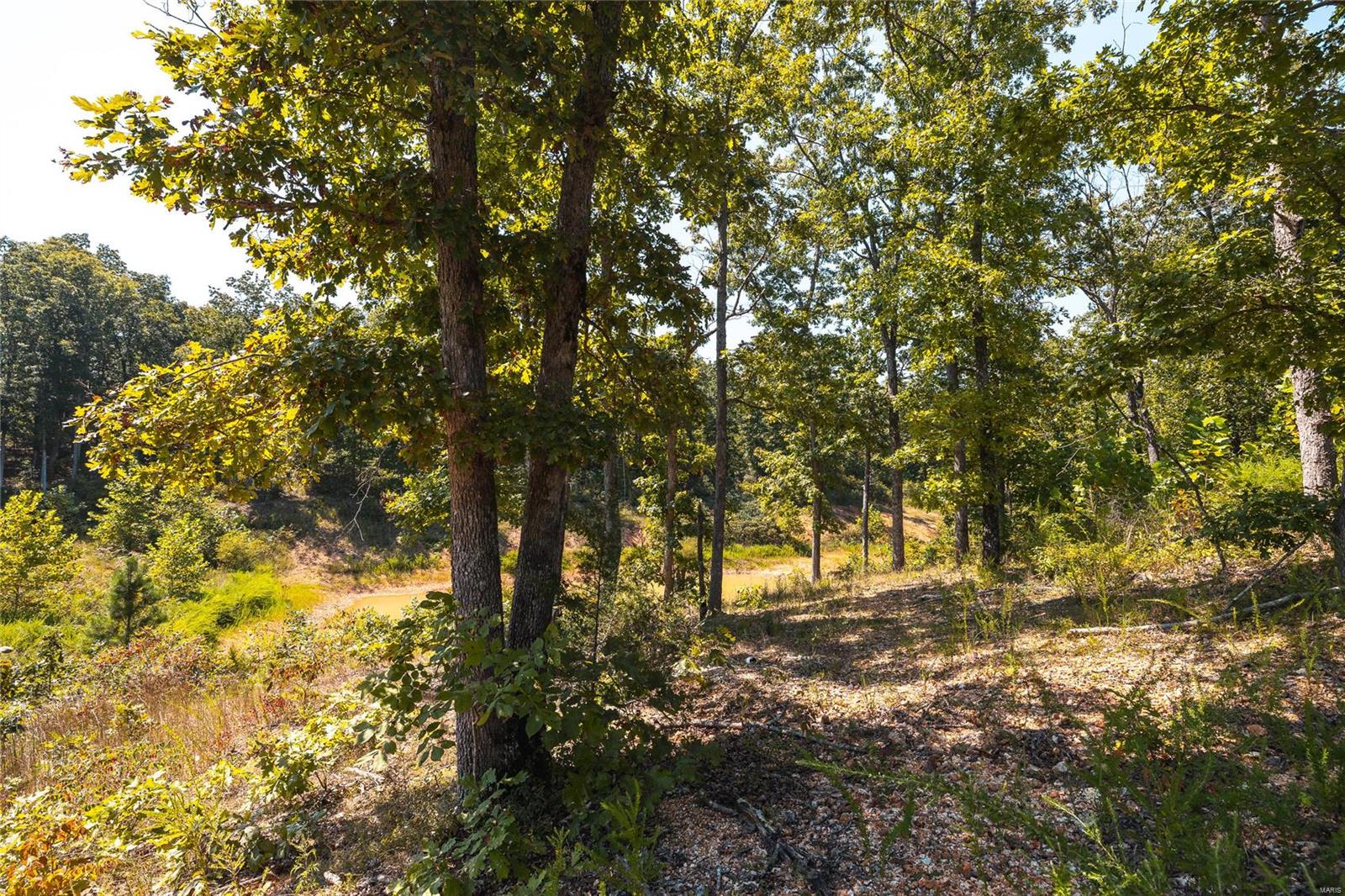 0 Whispering Pines Lane Property Photo 12