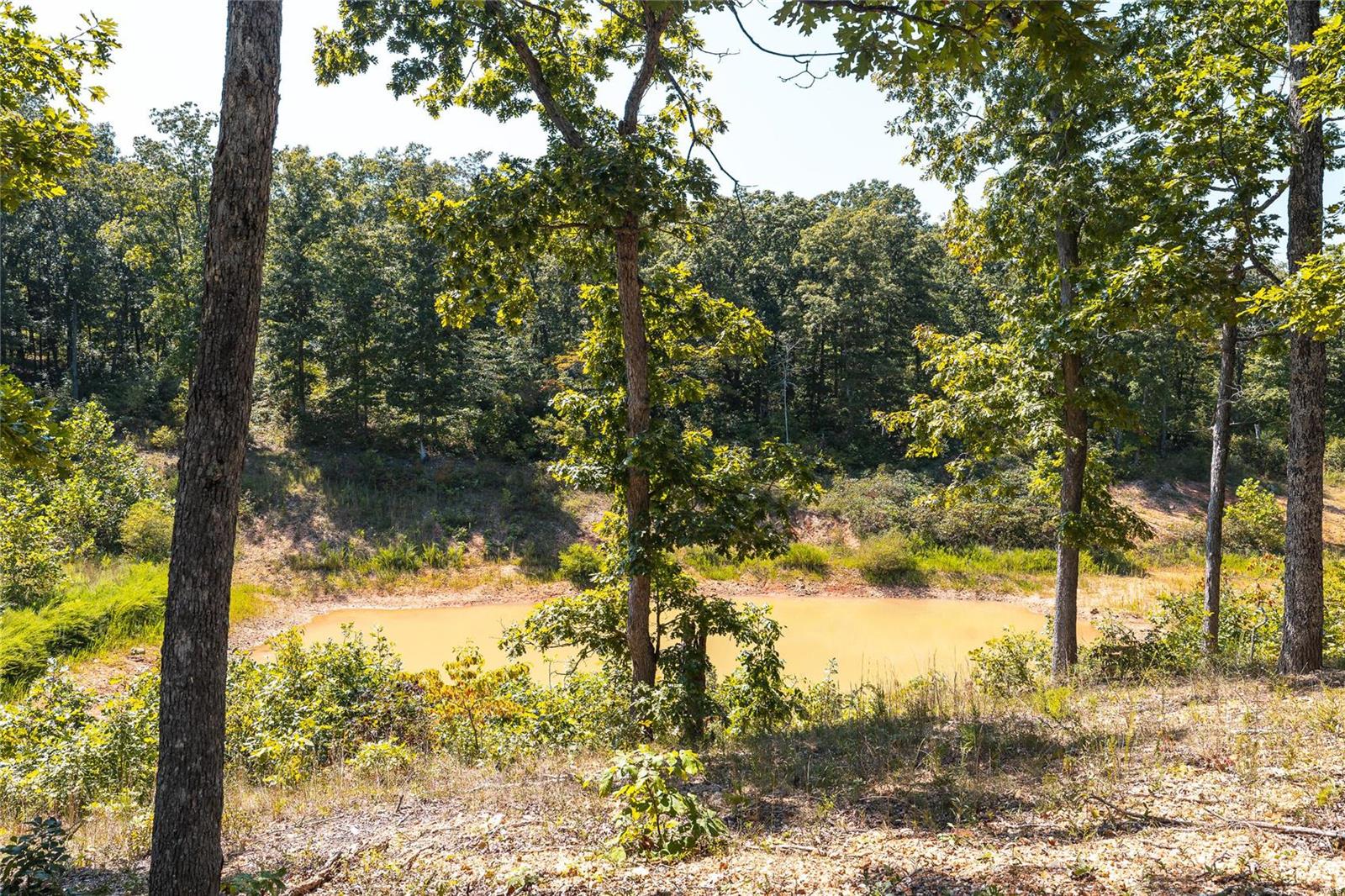 0 Whispering Pines Lane Property Photo 13
