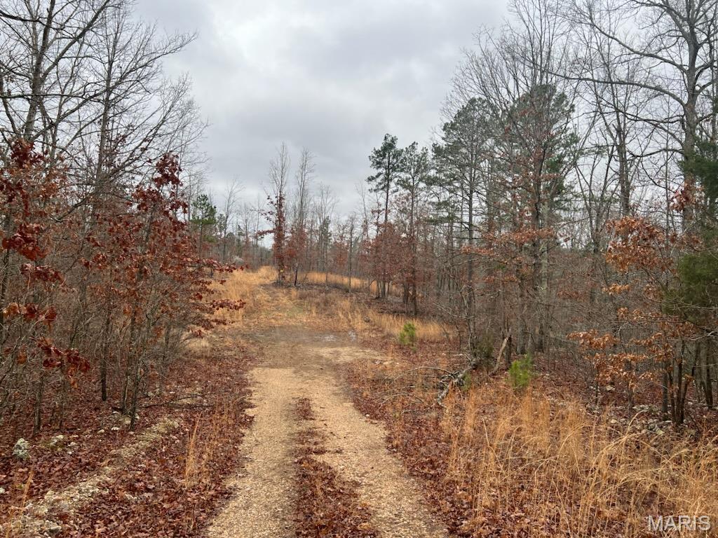 0 Golden Trail Property Photo 1