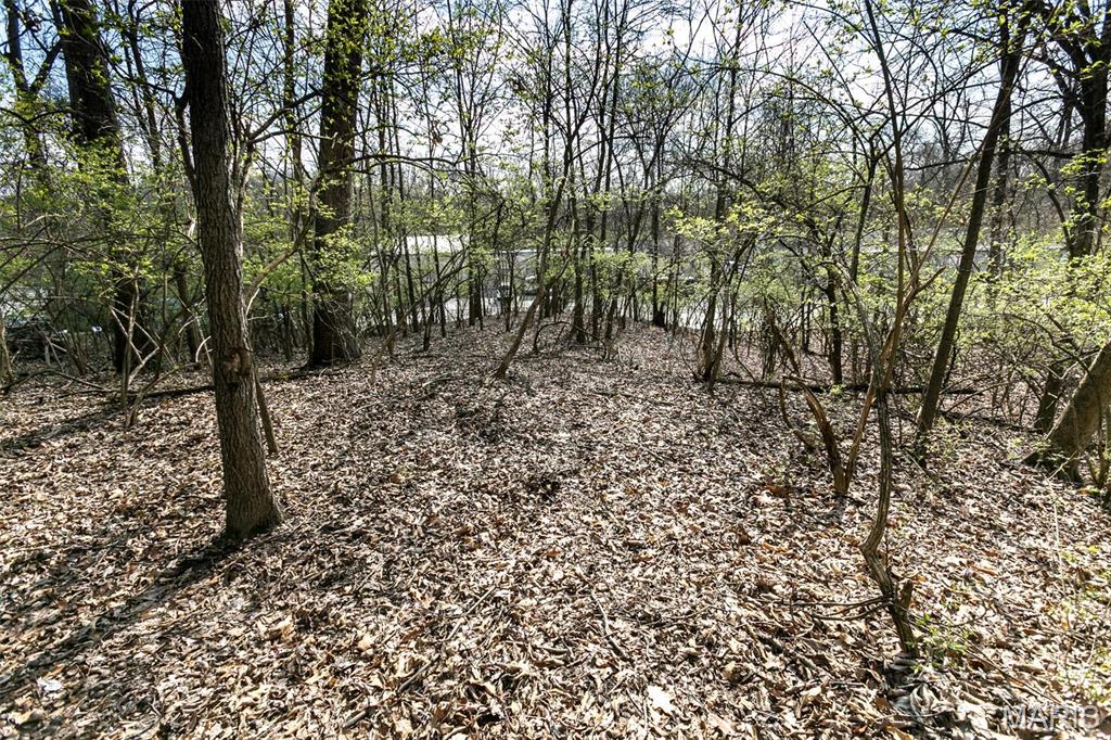 740 Forest Avenue Property Photo 1
