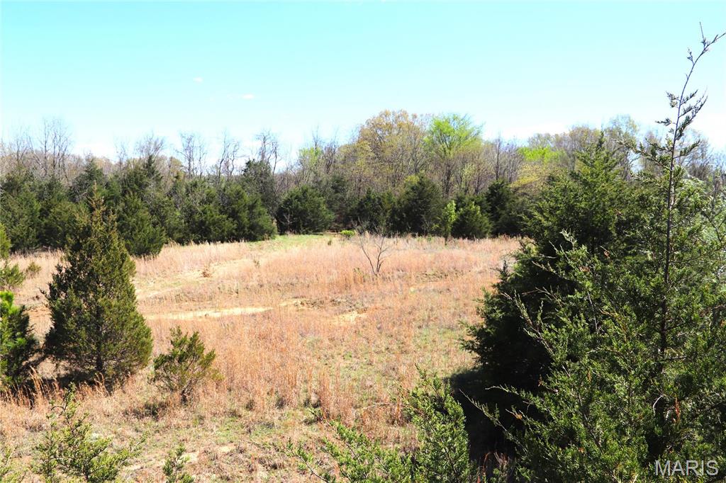 1100 Cinque Hommes Drive Property Photo 11