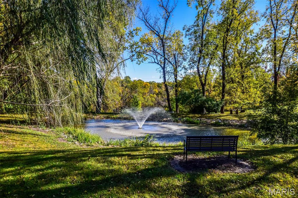 16093 Highway W Property Photo 38