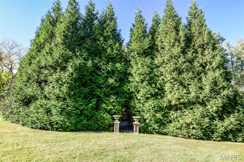 16093 Highway W Property Photo 41