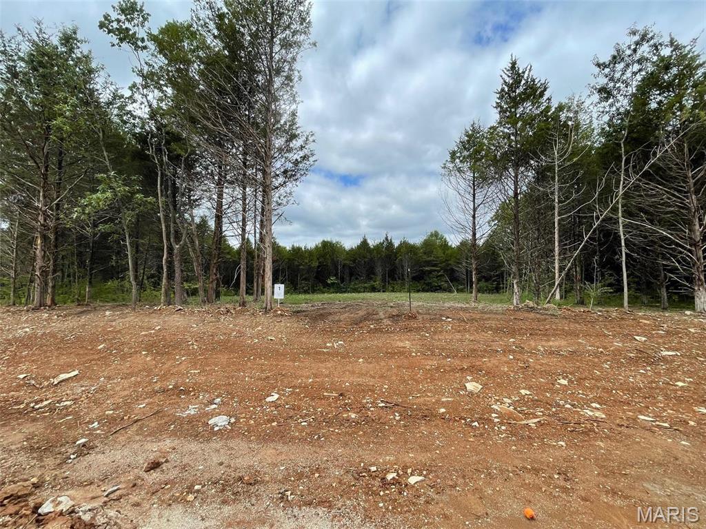 101 Jameson Crossing Property Photo 1