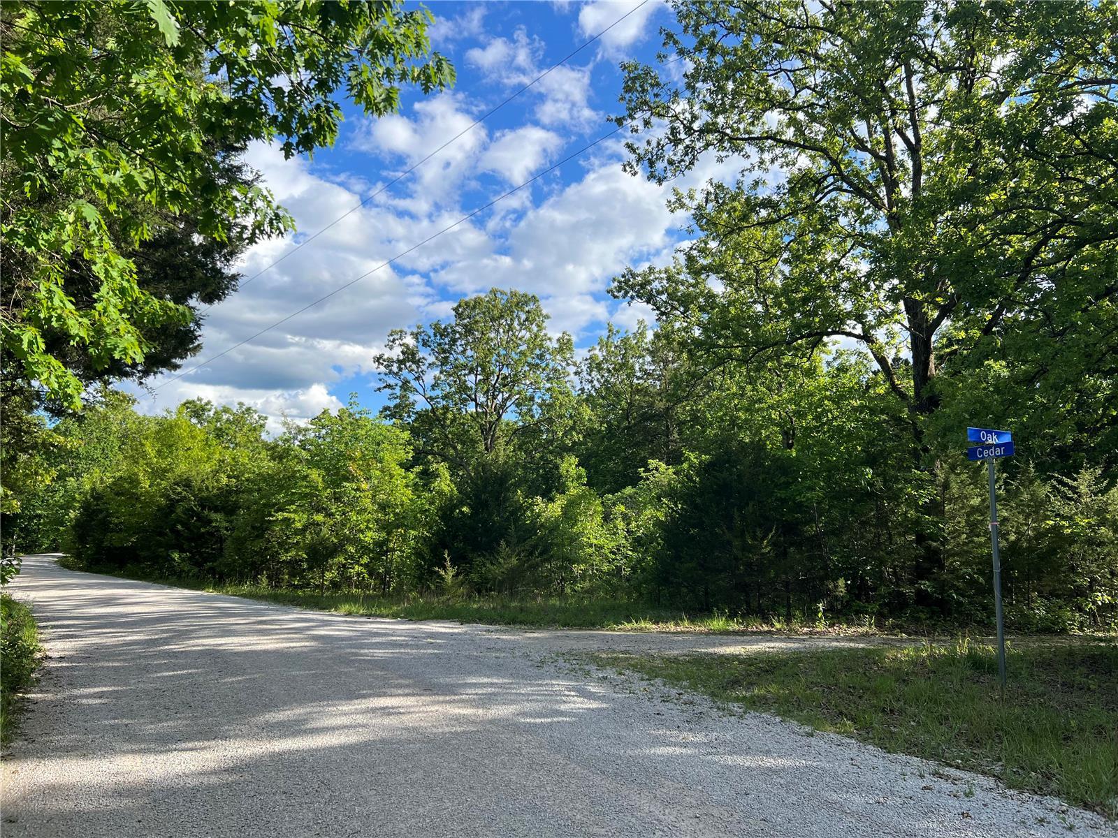 12 Acre Lot