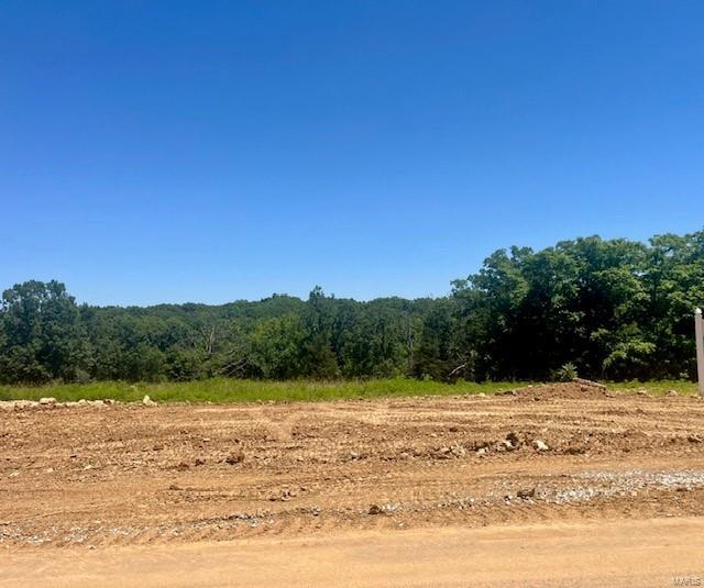 128 Saxony Ridge Court Property Photo 1