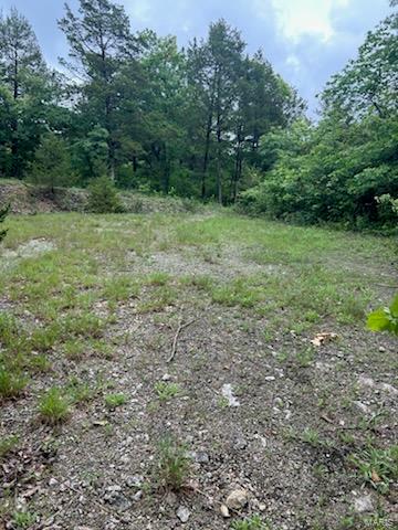 10168 Lake Ridge Drive Property Photo 1