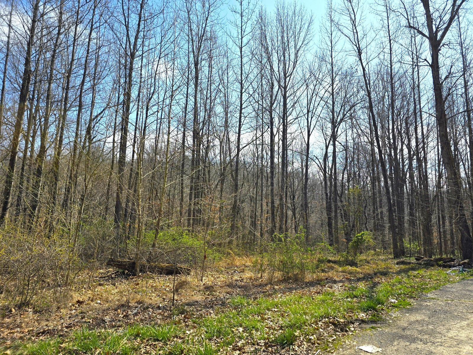 20286 Sherwood Forest Drive Property Photo 1