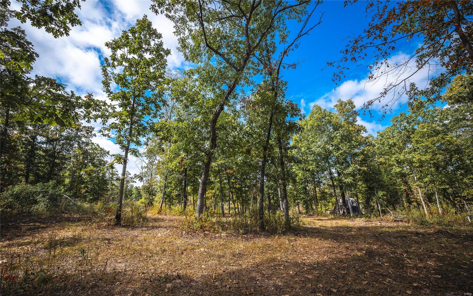 0 Eaton Cemetary Road Property Photo 18