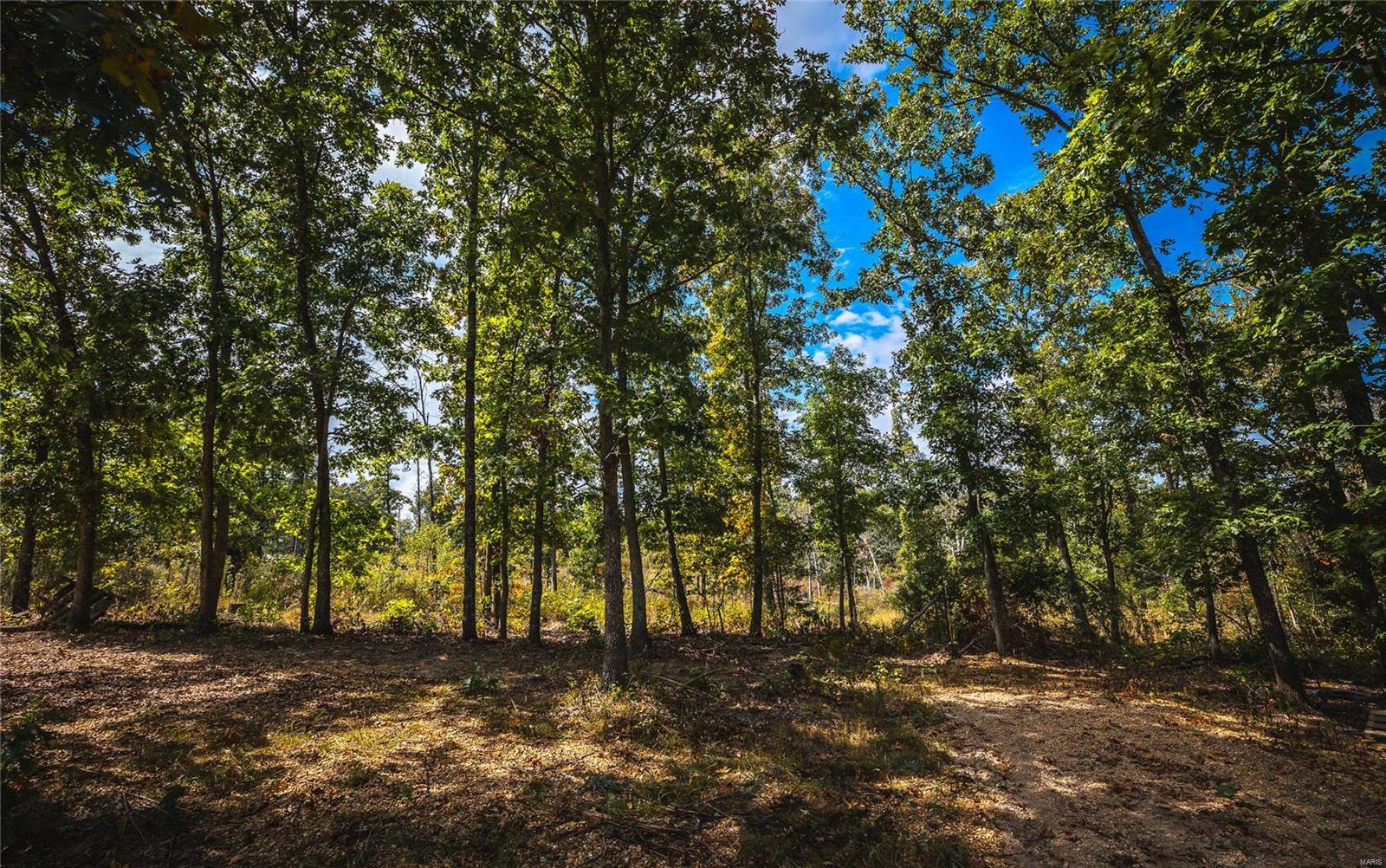 0 Eaton Cemetary Road Property Photo 23