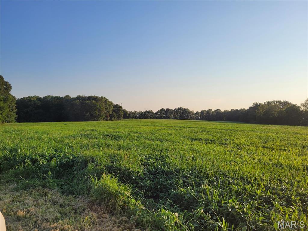 0 Hwy Dd (85.69+/- Ac) Tract E Property Photo 1