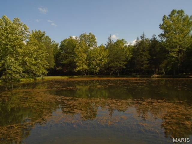 0 County Road 135 Property Photo 1
