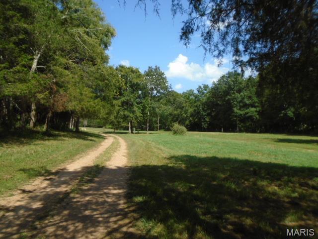 0 County Road 135 Property Photo 4