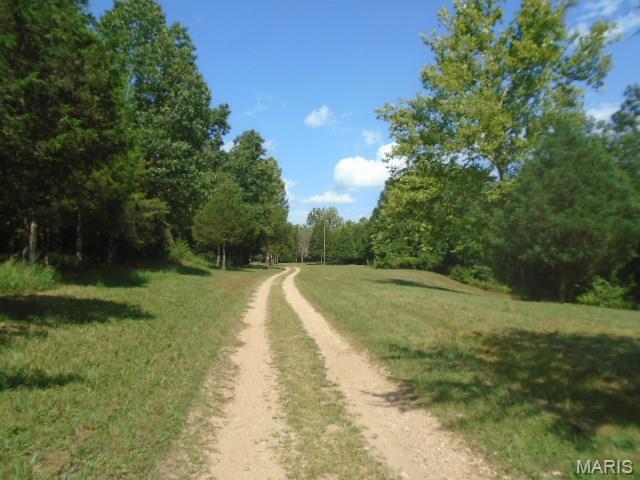 0 County Road 135 Property Photo 8