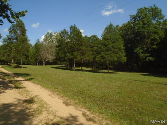 0 County Road 135 Property Photo 9