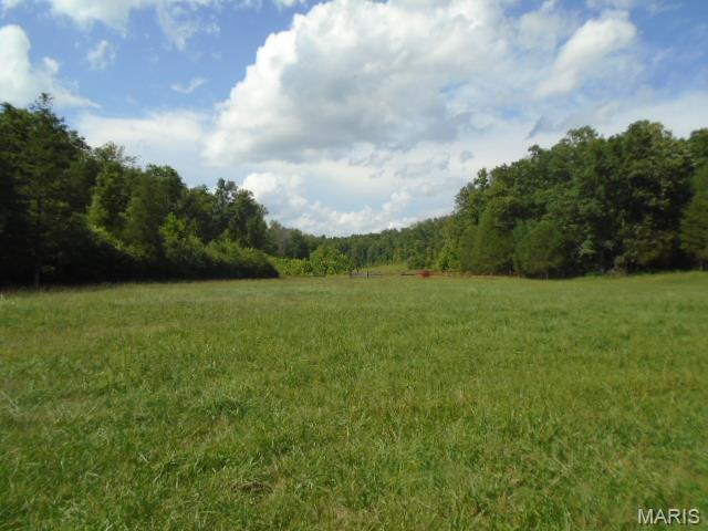 0 County Road 135 Property Photo 17