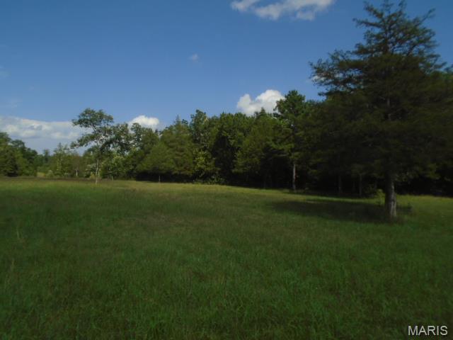 0 County Road 135 Property Photo 18