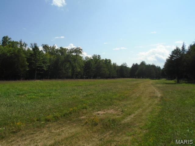 0 County Road 135 Property Photo 23