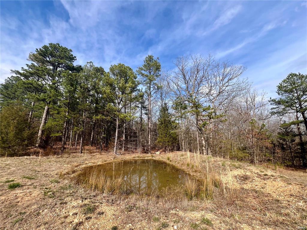 502 County Road 728 Property Photo 26