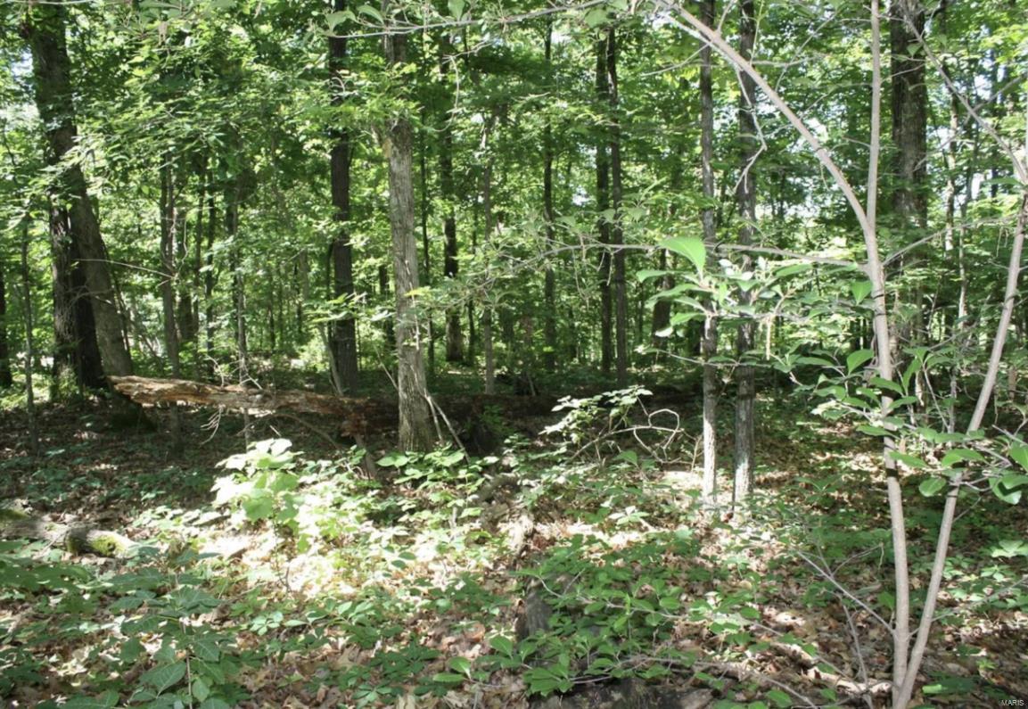 9 Mattingly Property Photo 1