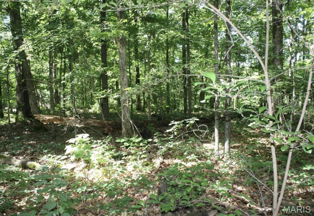 9 Mattingly Property Photo 1