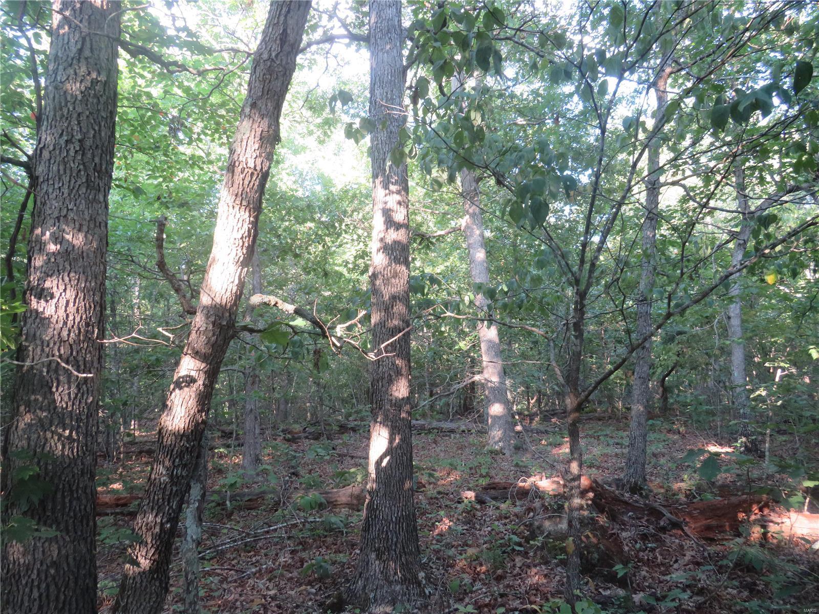 0 County Road 748 Property Photo 1