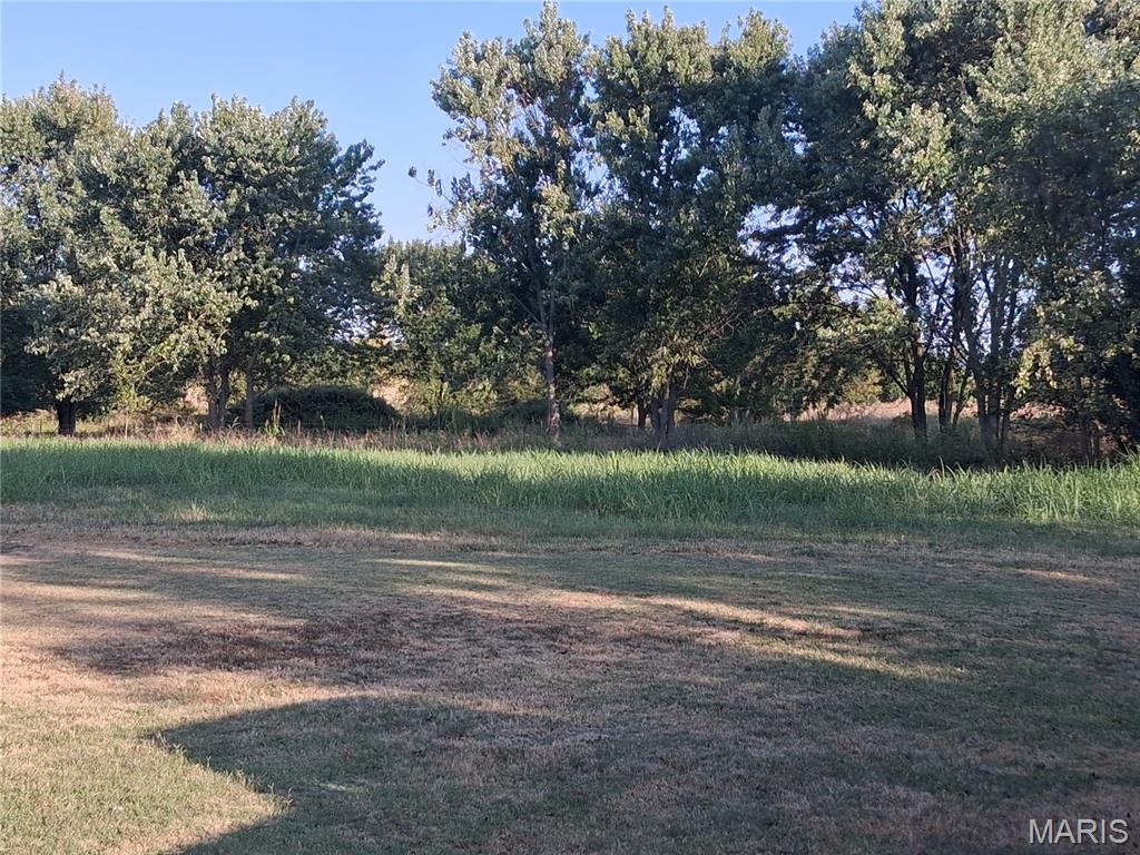 12229 Hammer Road Property Photo 7