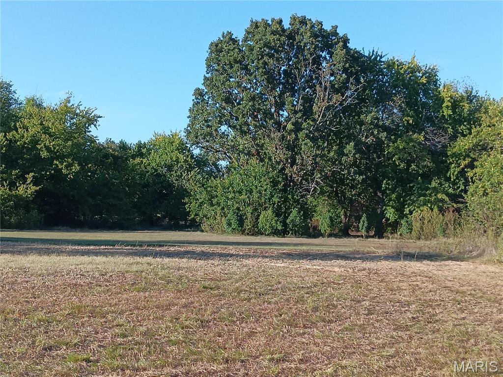 12229 Hammer Road Property Photo 10