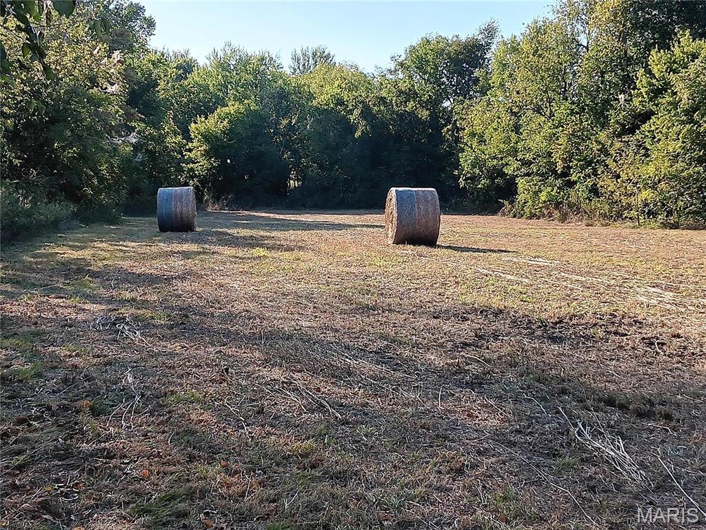 12229 Hammer Road Property Photo 19
