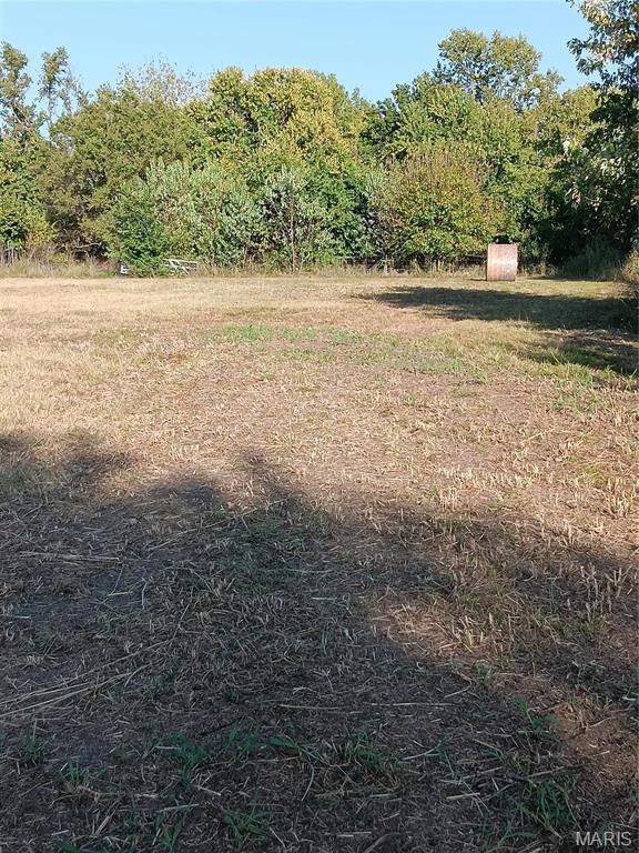 12229 Hammer Road Property Photo 21