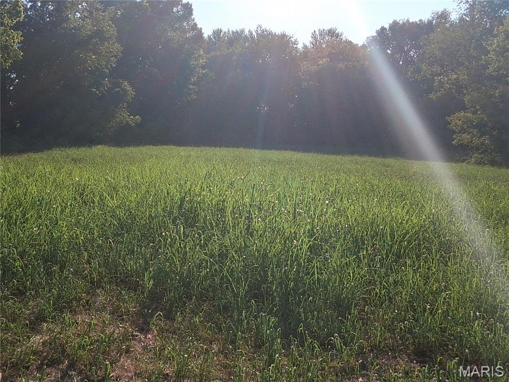 12229 Hammer Road Property Photo 28