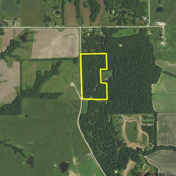 0 24 Acres Dogwood Drive Property Photo 1