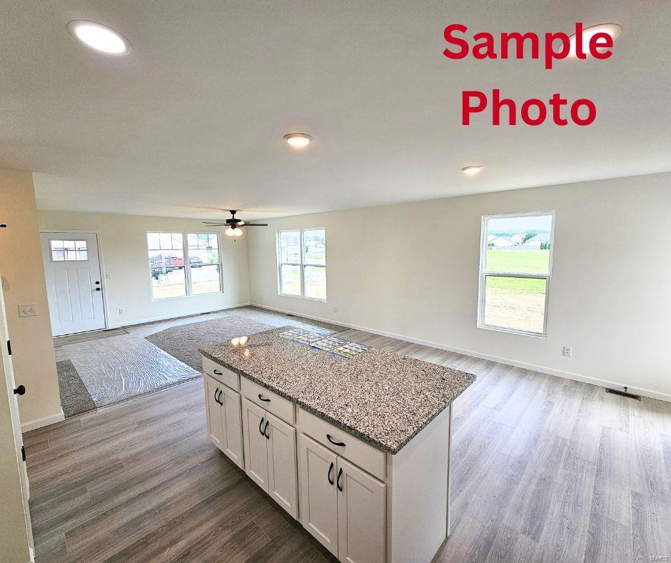 1123 Castle Green Drive Property Photo 6