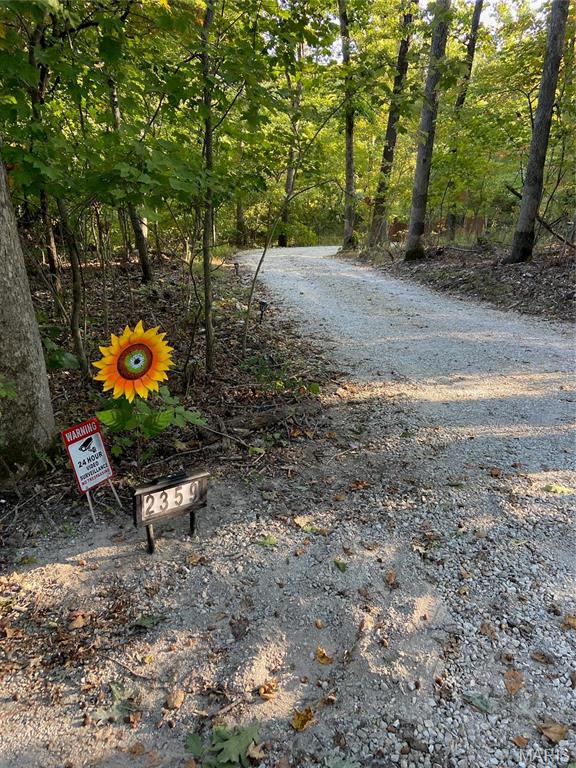 2359 Kitzbuhl Way Property Photo 10