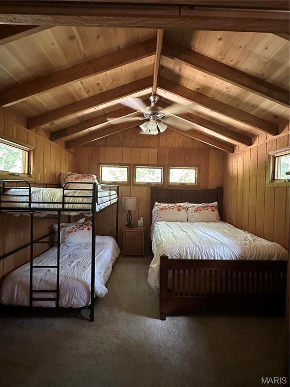 2359 Kitzbuhl Way Property Photo 27