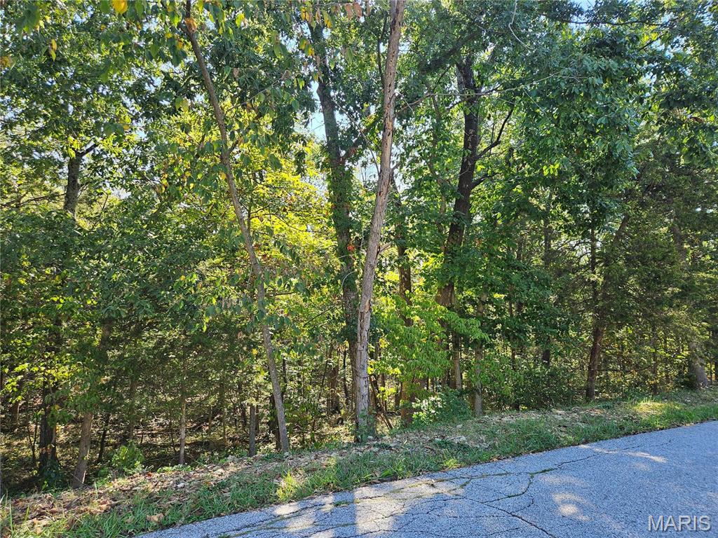 9528 Duffer Drive Property Photo 1