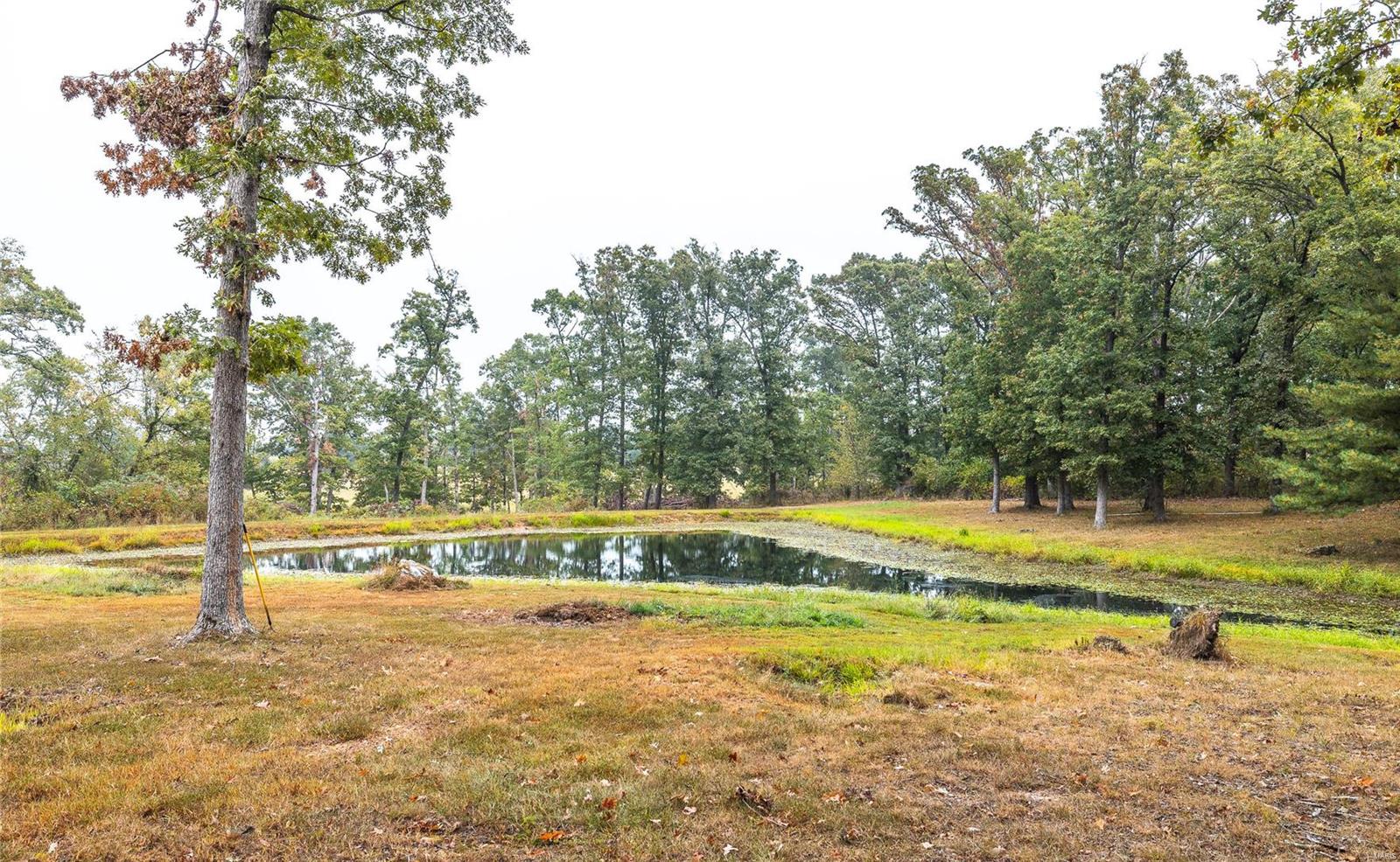 15 Northwood Dr. Property Photo 61