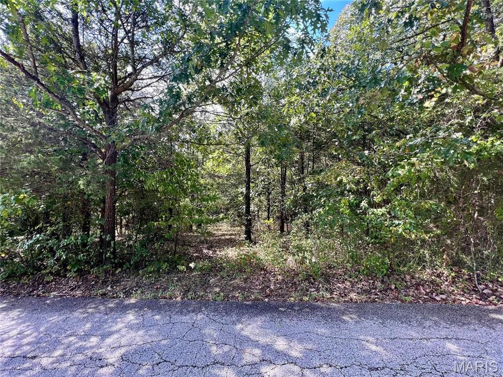 9909 Sassafras Drive Property Photo