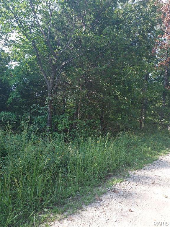 0 Alpine Road Property Photo 2