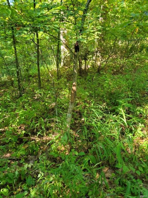 0 0 County Hwy 410 Property Photo 1