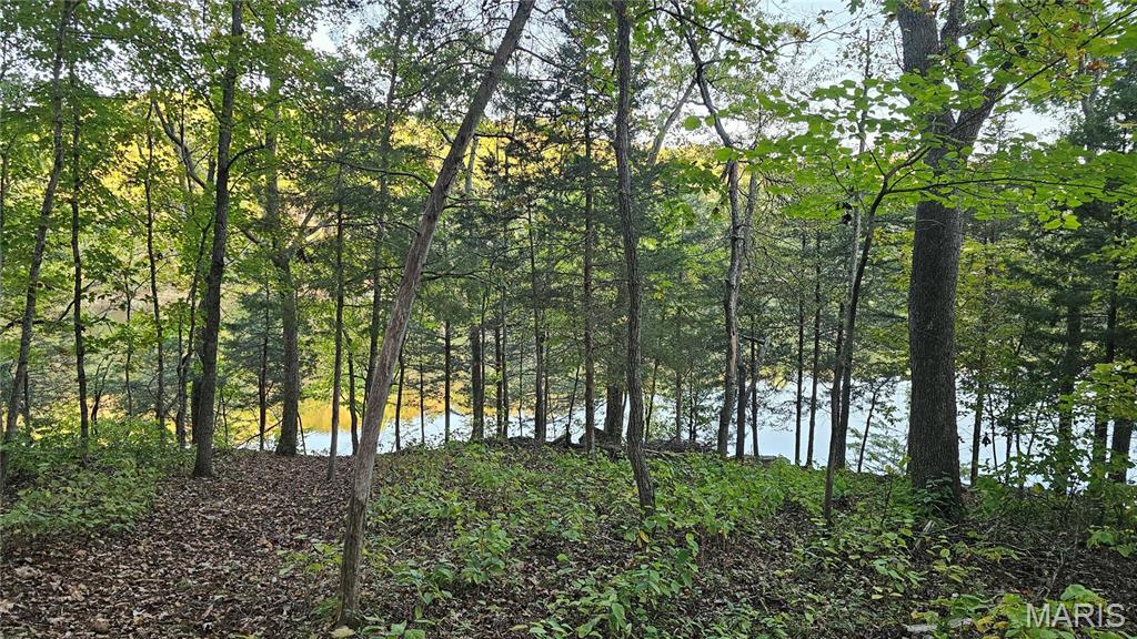 950 Long Bow Drive Property Photo 9