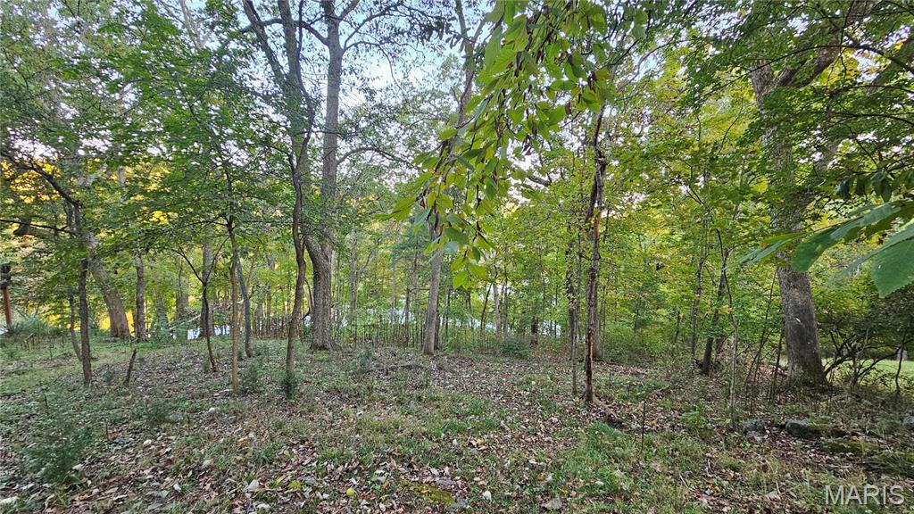 950 Long Bow Drive Property Photo 10