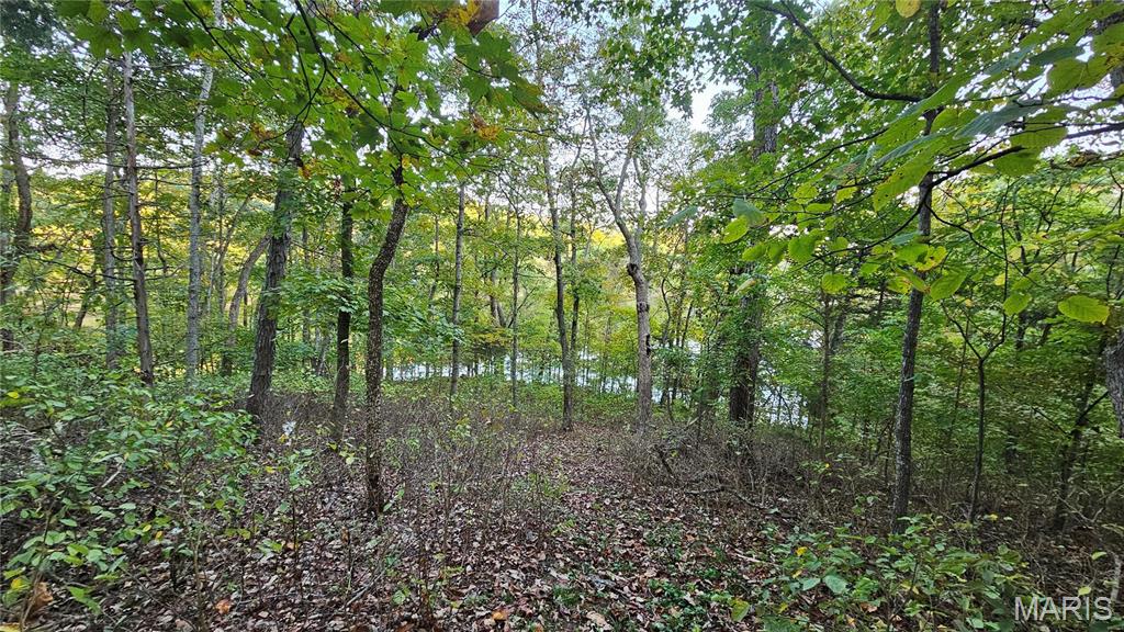 950 Long Bow Drive Property Photo 11